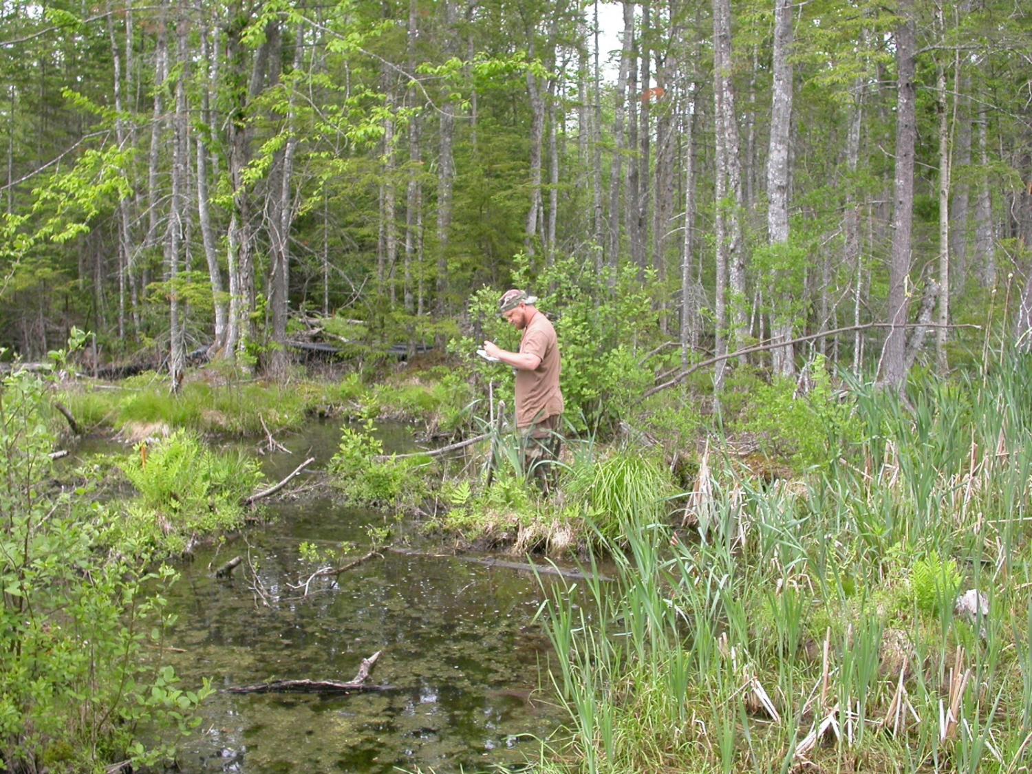 Brian Shaw Collecting Data